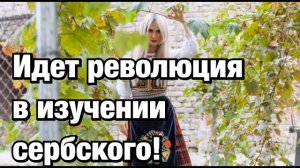 Трамплин в сербский. Курсы сербского онлайн. Живой сербский.