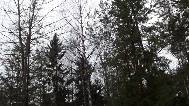 Воскресный шашлык на зимней горке смотреть онлайн