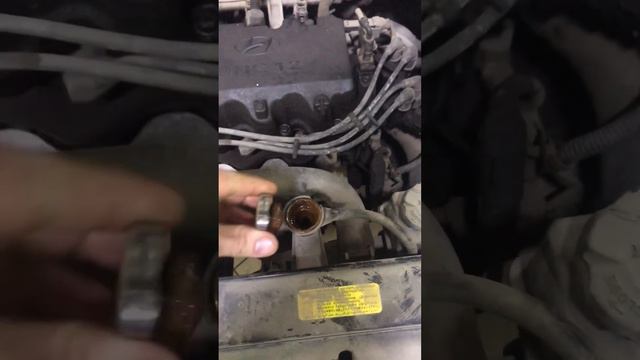 Hyundai Gets что будет если лить воду вместо антифриза!? everyday mechanics. water or antifreeze?!