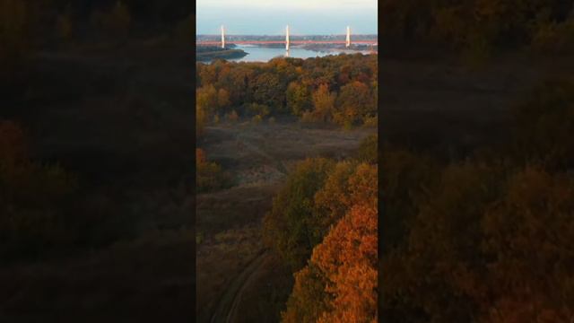 Муром. #dog #рассада #православие #весна2023 #котики #огород #проповедь #лп #отдых #пасха#россия смотреть онлайн