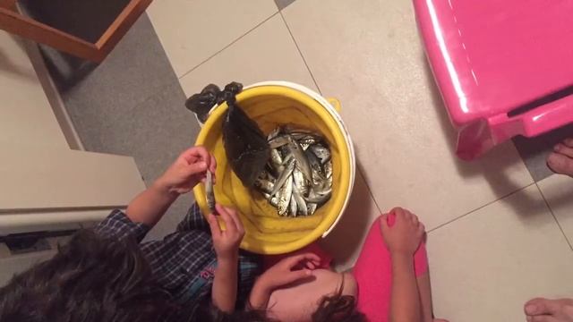 Заезд в Крым