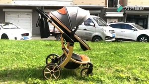 luxmom 608 Детская коляска 2-в-1