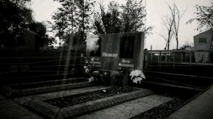 Реальный ЭГФ записанный на кладбище в родительский день. Голоса из иного мира.