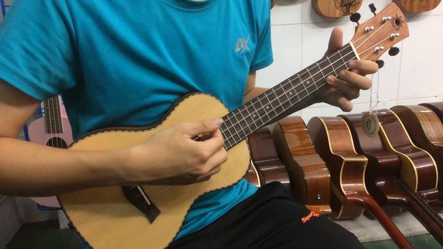 Ukulele Concert Oluru Thùng Dẹp | Test Sound | Việt Mỹ Acoustic смотреть онлайн