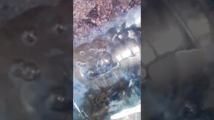 Устранение причины недодува турбины КИА Соренто Kia Sorento