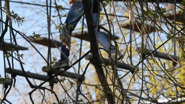 1 мая ВДНХ смотреть онлайн