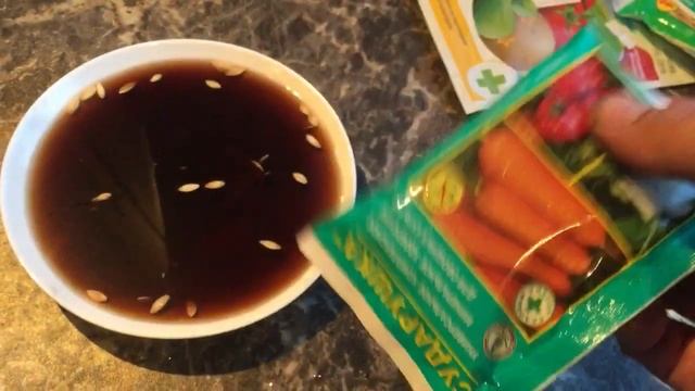 КАК ПОДГОТОВИТЬ ОГУРЦЫ К ПОСЕВУ. смотреть онлайн