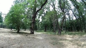 ВЕЛОглаз Краснодара: покатушка до Чистяковской рощи