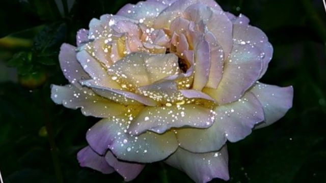 Дышал розарий ароматом смотреть онлайн