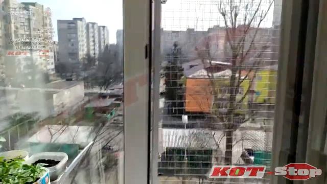 ?Защитная Сетка Решетка антикошка от выпадения кошек из окон КОТ-Stop НА КУХОННОЕ ОКНО Заказ №106 смотреть онлайн