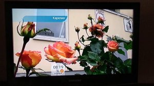 дом образцового содержания на первом канале