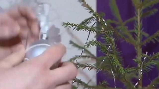 Акция "Ёлочный круговорот" смотреть онлайн