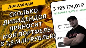 Показываю дивидендную доходность портфеля! Сколько дивидендов приносит мне 3.8млн р в акциях РФ.