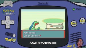 Pokemon Emerald Walkthrough Part 9: Torchic's Blaze