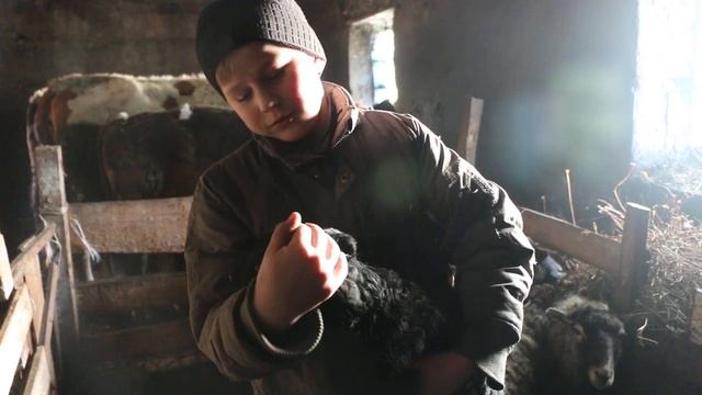 Илья с ягненком. Прибавление в хозяйстве
