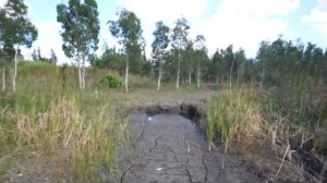 QUARANTINED MUD WRESTLING