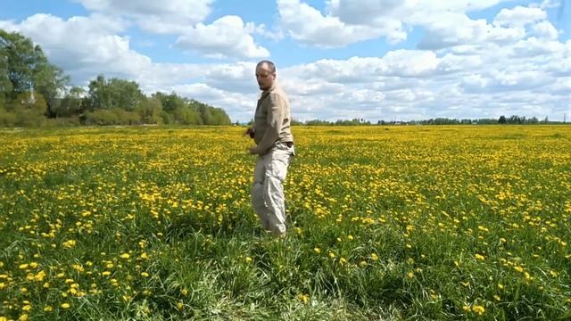 ? Поле одуванчиков и 7 минут состояния тайчи смотреть онлайн