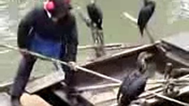 Сезонный Промысловый Лов Кеты В Амуре [Промысловая Ловля Рыбы] смотреть онлайн