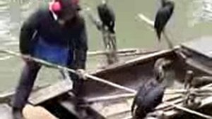 Сезонный Промысловый Лов Кеты В Амуре [Промысловая Ловля Рыбы]