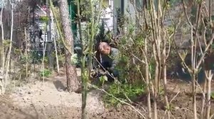 обод хонадон