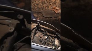 Запуск скутера с новой поршневой на 82куб
