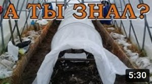 ПАРНИК своими руками для ранних посадок в ТЕПЛИЦЕ ???