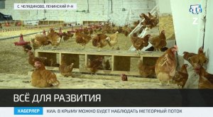 В Ленинском районе открылась автоматизированная птицеферма