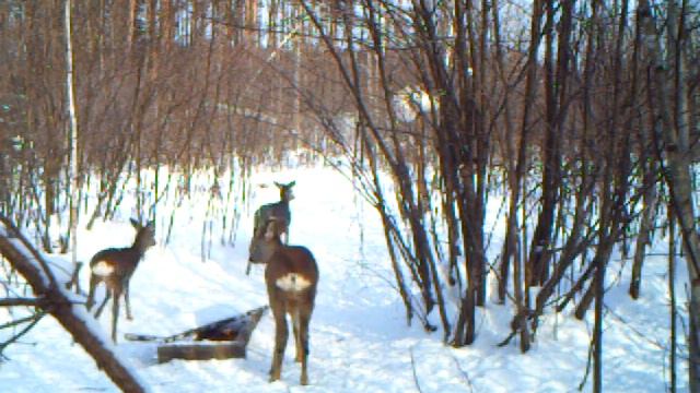 PICT0393.ASF смотреть онлайн