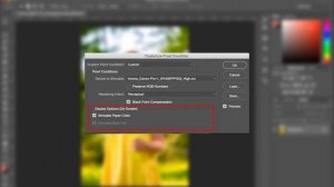 How To Use Proof View To Edit An Image In Adobe Photoshop