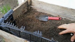 Выращивание картофеля в коробках. Экспериментальная посадка картофеля в коробки.