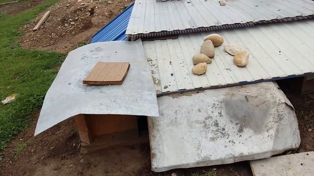 Отзыв выращивания кроликов в вольере. смотреть онлайн