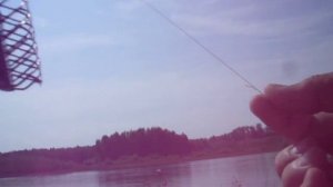 Фидерная резинка оснастка с ней.