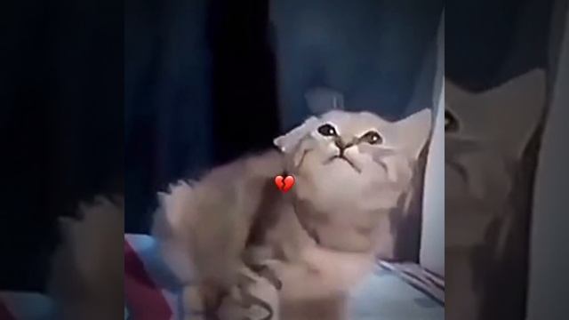 СМОТРИ И СМЕЙСЯ смотреть онлайн