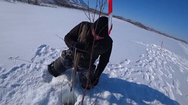 Поездка в тундру на три дня, поймали 36 щук, 11 гольцов, 5 налимов и окуней. ч.2 смотреть онлайн