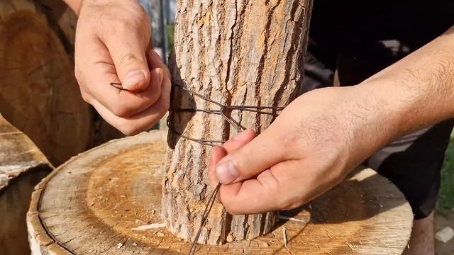 ? Пожарил СЛАДКИЙ ПЕРЕЦ целиком! Все лето готовлю перец только так!