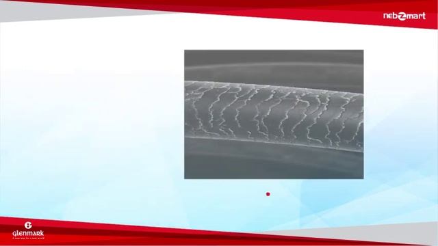 Nebzmart Introduction Video смотреть онлайн