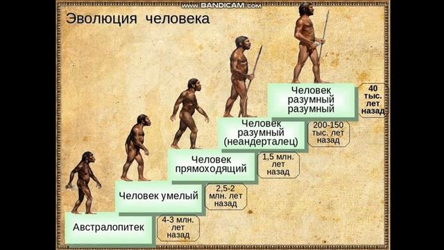 Всемирная история. Теории происхождения человека.