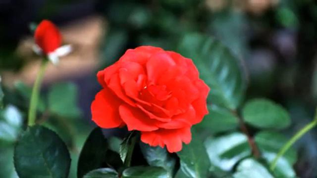 Сборник самых хороших хитов музыки для сна в хорошем... смотреть онлайн