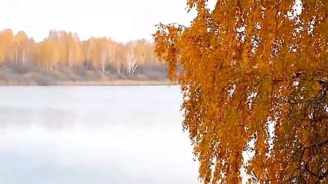 Прогулка - прощание с летом, природа осень  ляпота . #помощь #жизнь #доступнаясреда #любовь