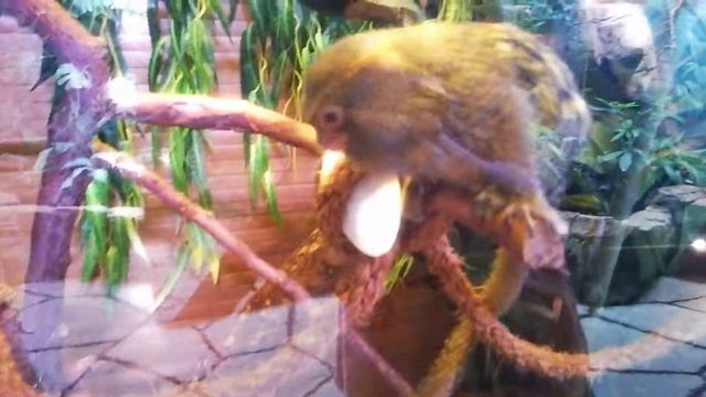 Крокус Сити Океанариум смотреть онлайн