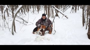 Охота с Русскими пегими гончими на зайца#22