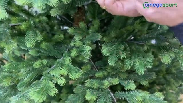 Обзор искусственной ели Крымская смотреть онлайн