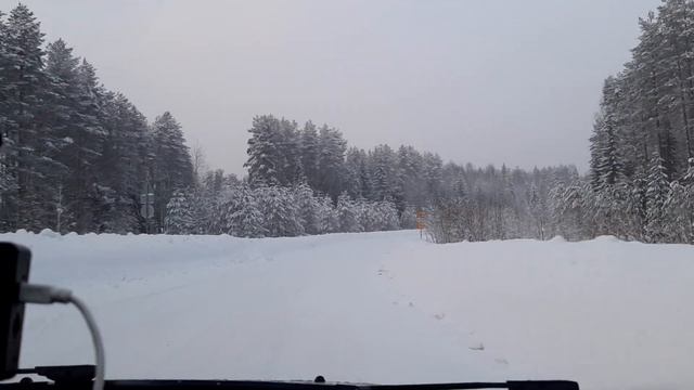 Сказочный лес