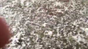 Captiva С100 3.2 запуск двигателя -2