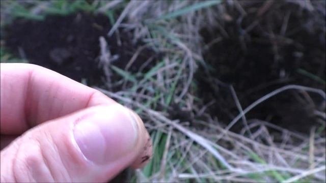 Нашёл монету давней мечты! Радости нет предела, Кольцевые пять копеек, ещё и в сохране!