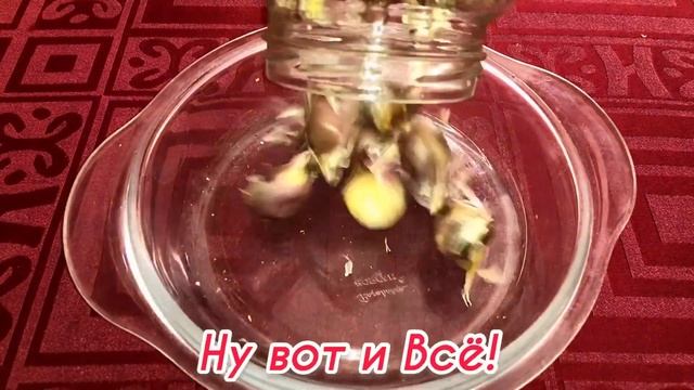 Как быстро почистить чеснок! Кулинарный лайфак! смотреть онлайн