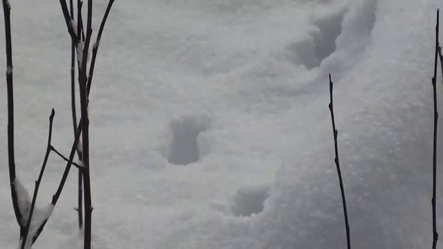 ловить момент пока дожди не начались босиком по снегу смотреть онлайн