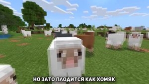ОВЦА ПОЁТ ЧИКИБАМБОНИ ПЕСНЯ | Все виды | Minecraft Музыка