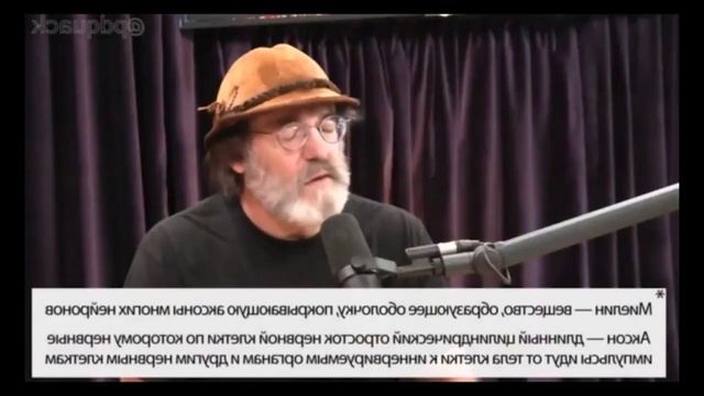 Ежовик гребенчатый. Профилактика в лечении Мышечная Дистрофия.