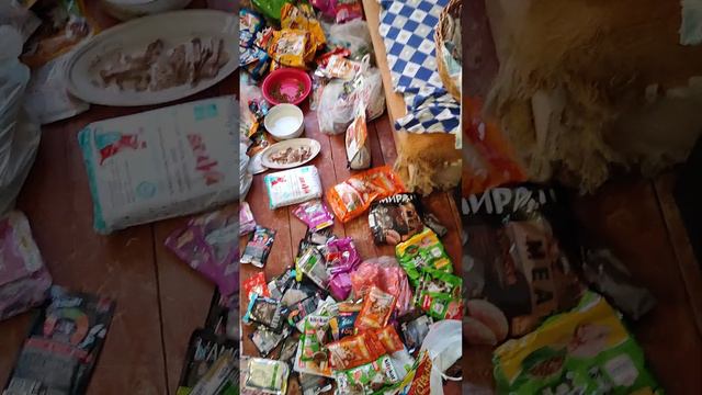 24 января 2024 г. смотреть онлайн